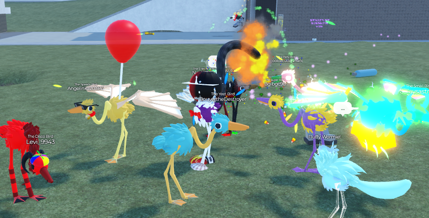 BIRD models showcase